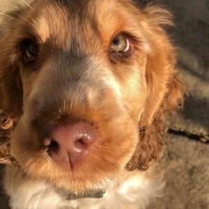 Meet your Posher, Mildred